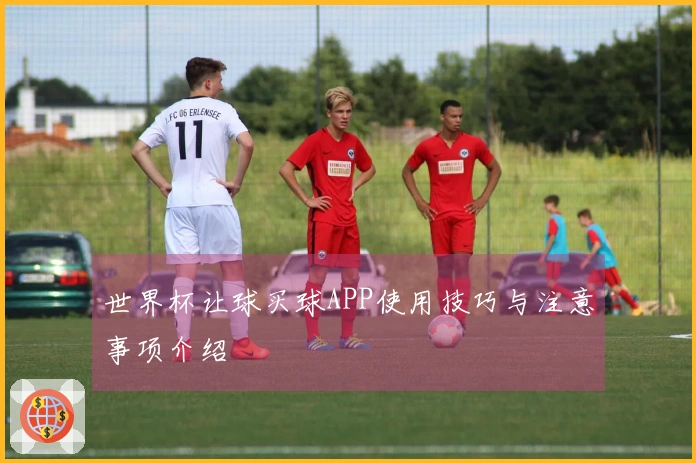 世界杯让球买球APP使用技巧与注意事项介绍
