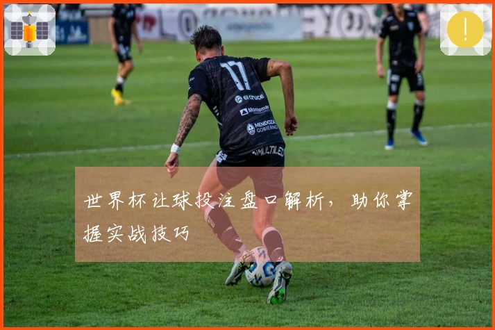 世界杯让球投注盘口解析，助你掌握实战技巧